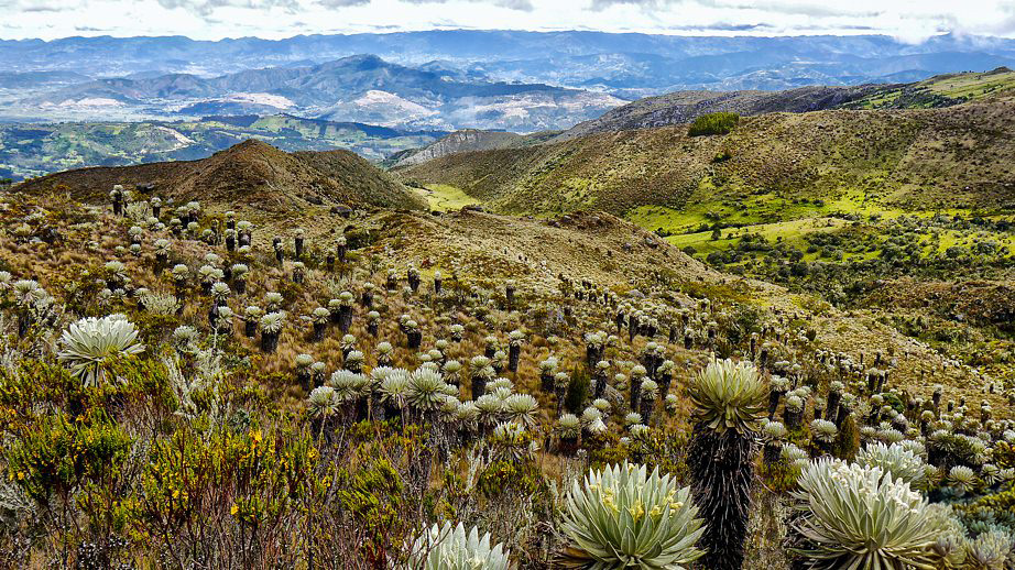 Páramo de Ocetá (Monguí)